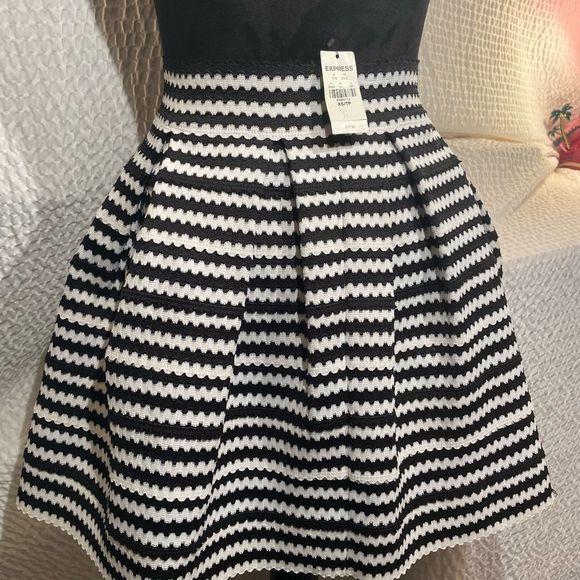 Express Dresses & Skirts - Express circle skirt (ID#72)